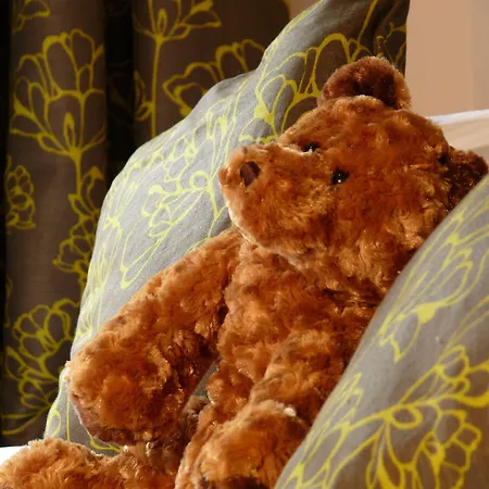 The Red Lion & Manor House